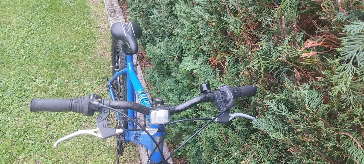 Bike - Image 3