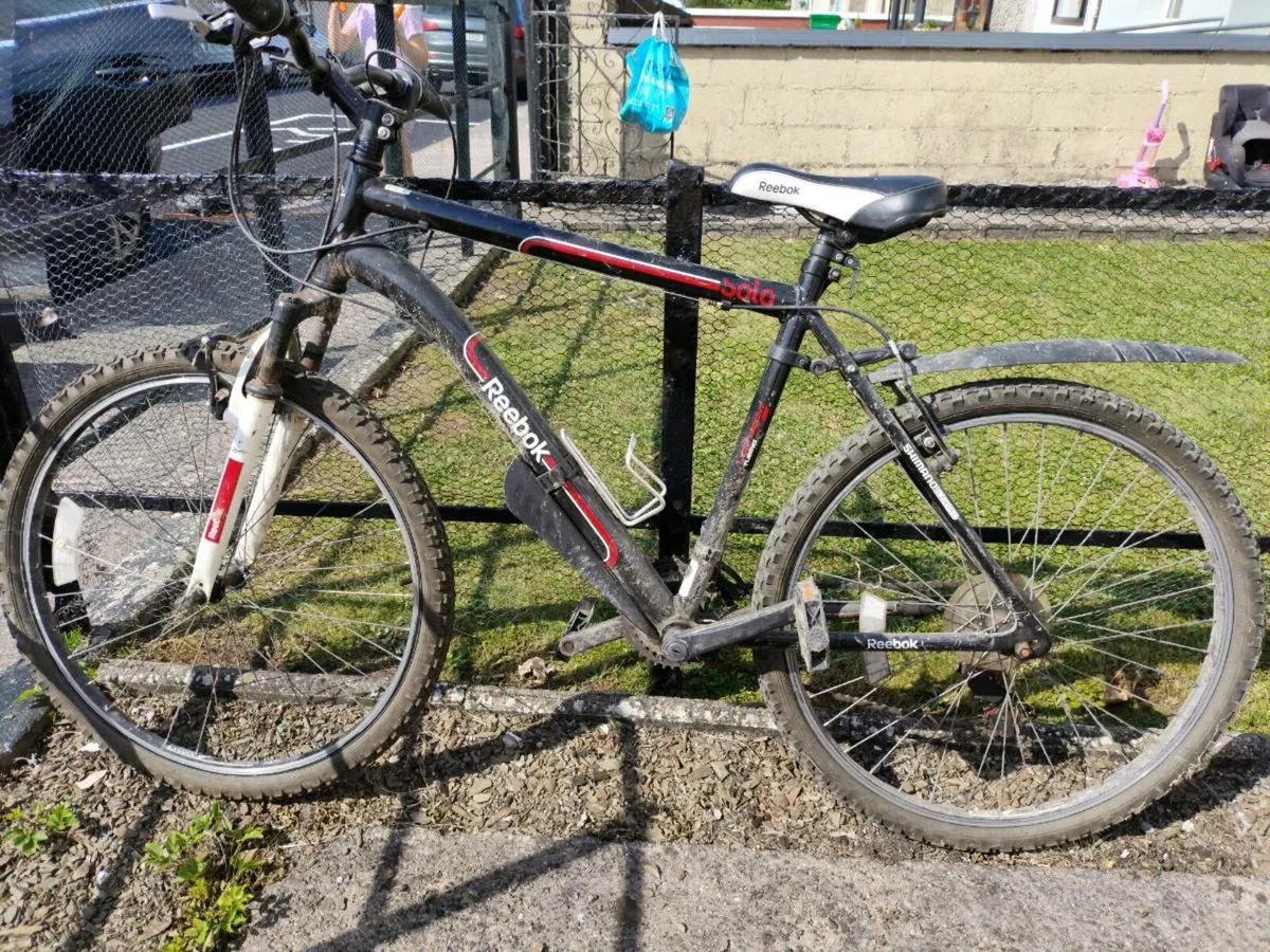 Reebok mountain bike