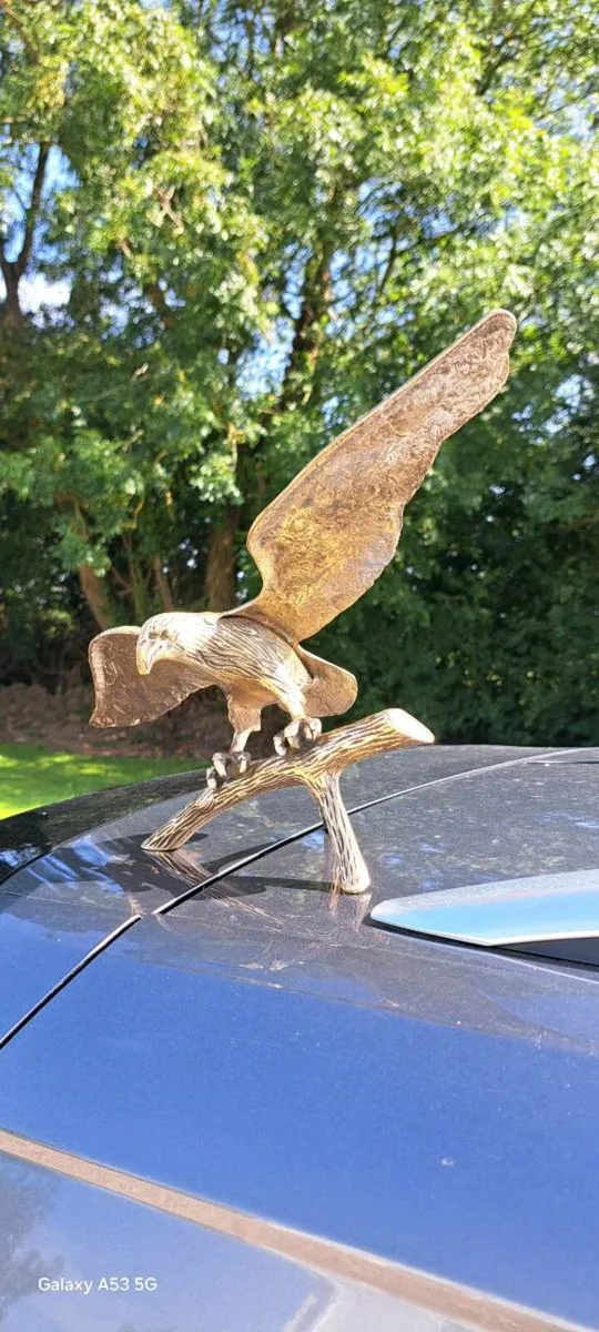 Old  brass  eagle - Image 1
