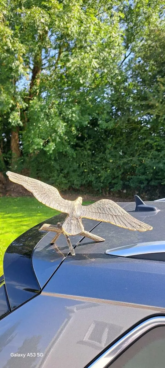Old  brass  eagle - Image 2
