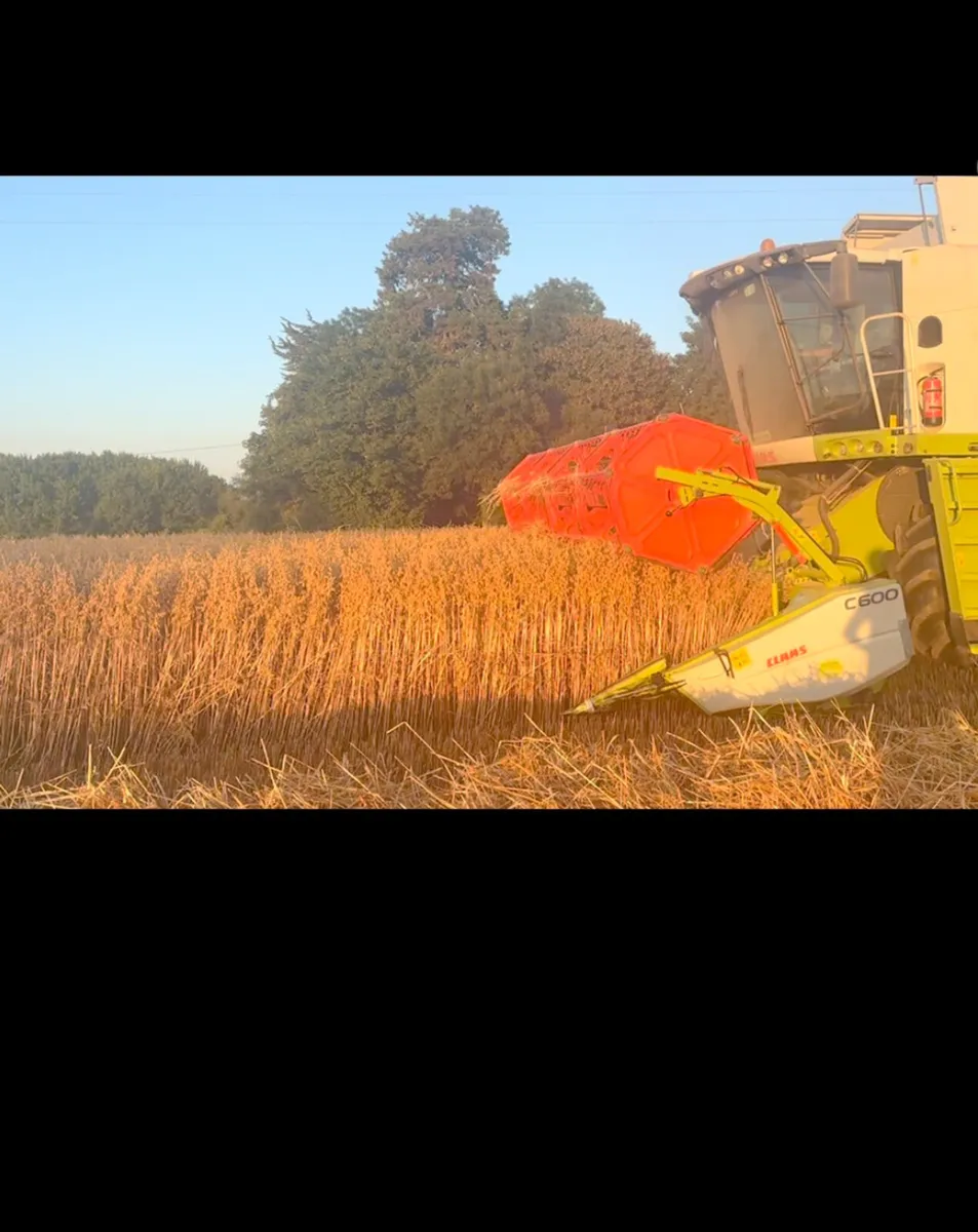 Oat & Wheat straw