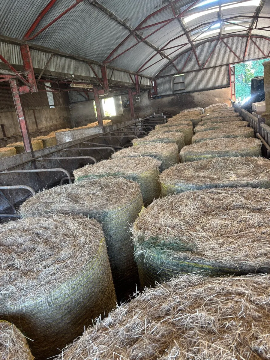 Hay for sale - Image 1