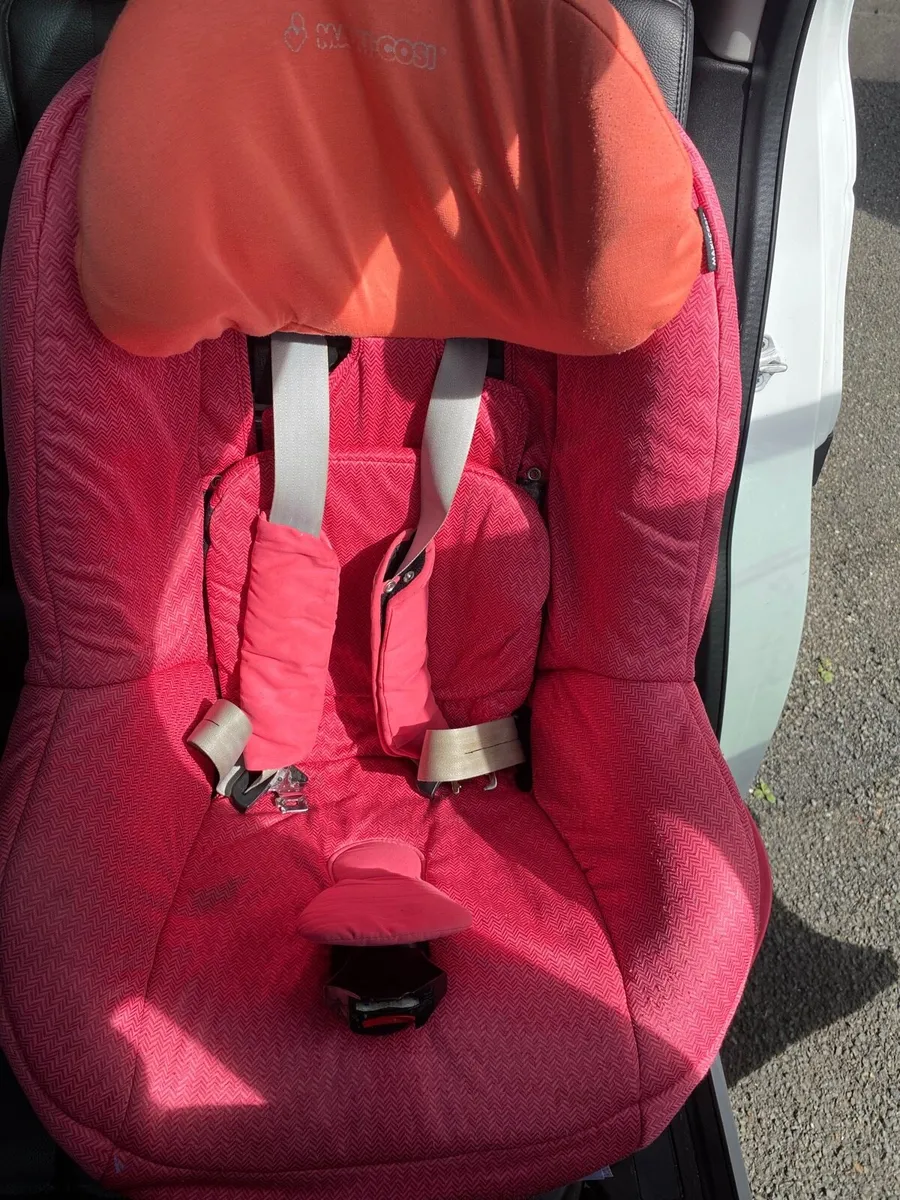 Familyfix Cat Seat - Image 1