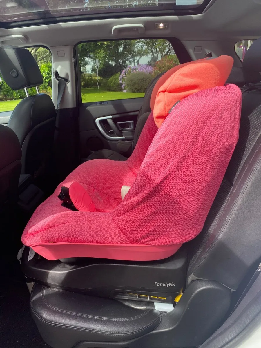 Familyfix Cat Seat - Image 2