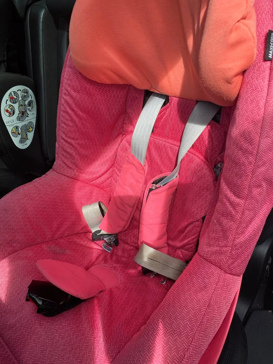 Familyfix Cat Seat - Image 3