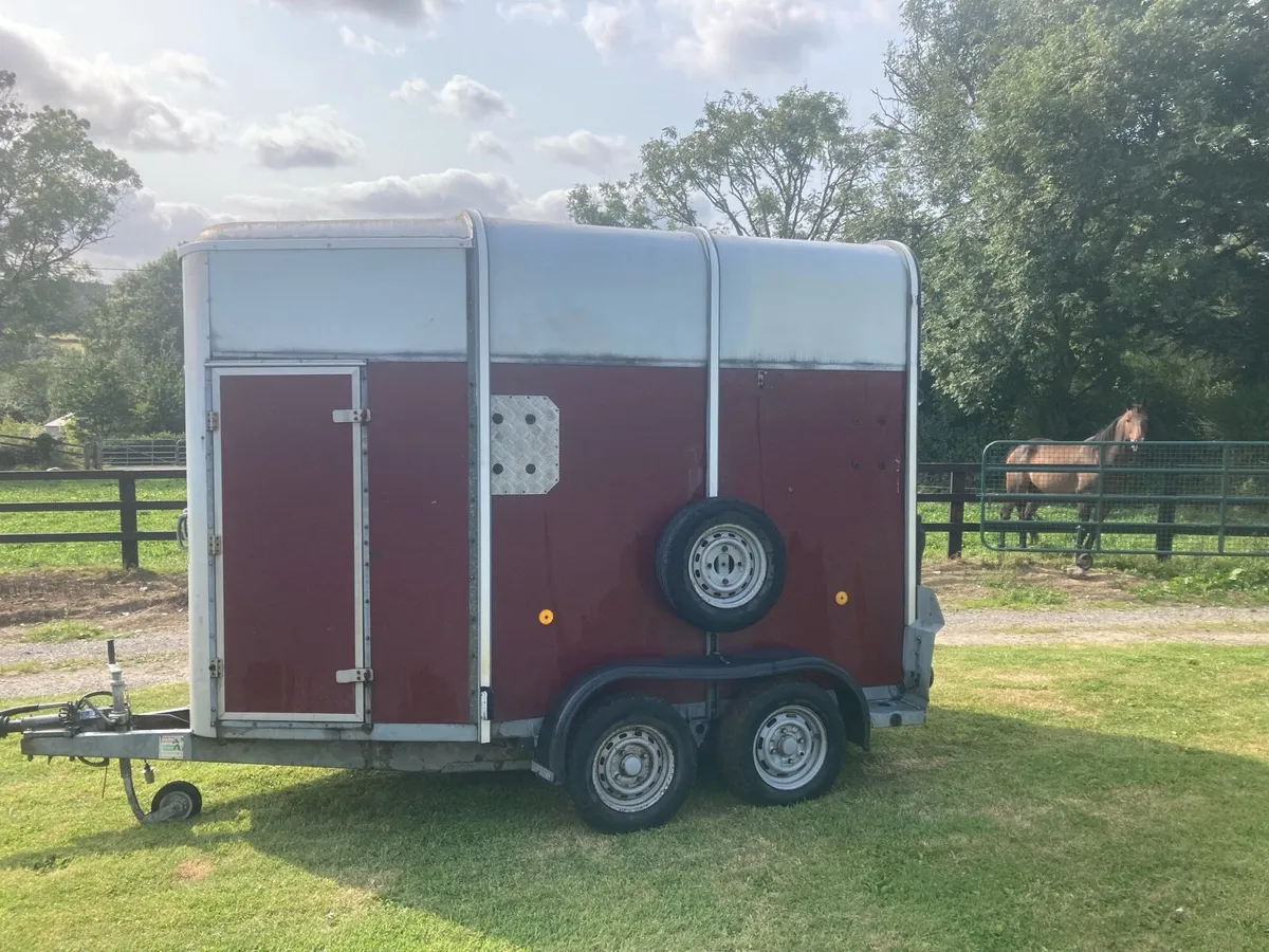 505 horse box - Image 3