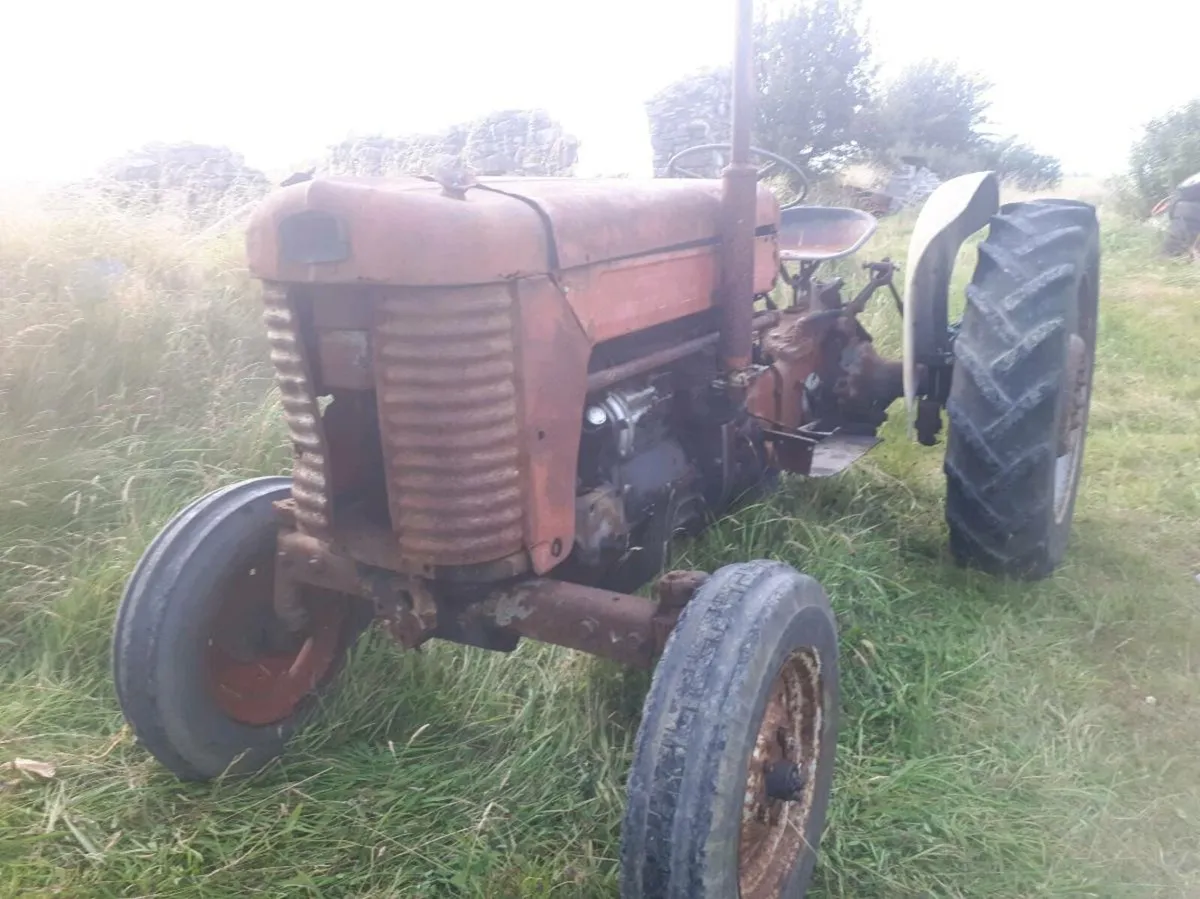 MF Tractor 65 - Image 1