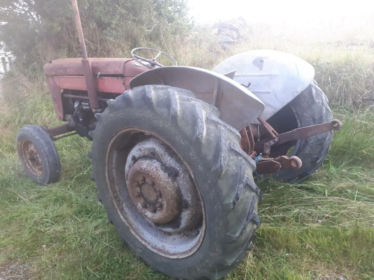 MF Tractor 65 - Image 2