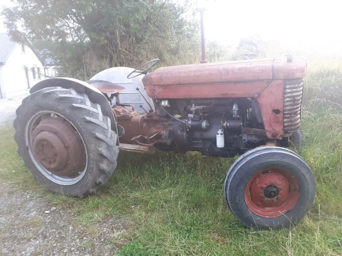 MF Tractor 65 - Image 4