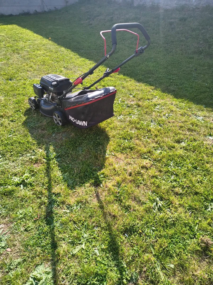 Lawnmower - Image 2