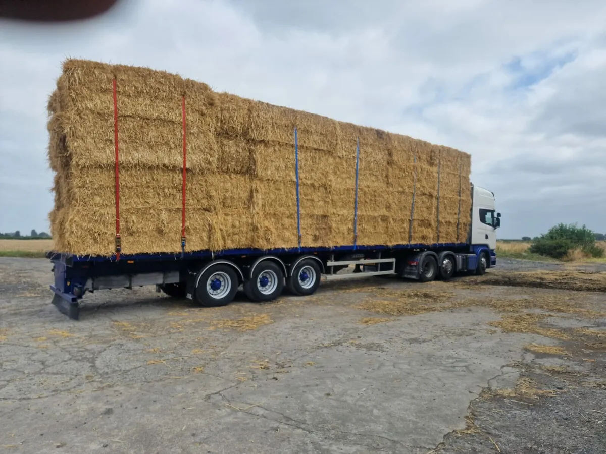 Straw for sale ! 8x4x3s barley, weat oat , - Image 3