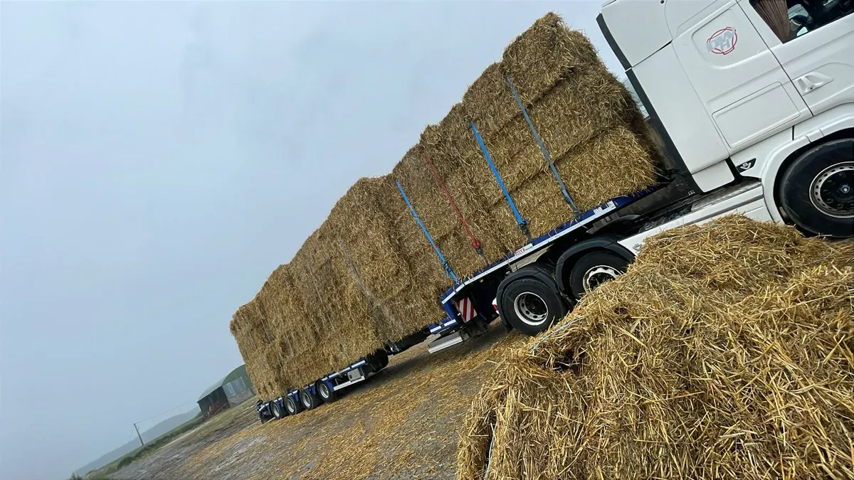 Straw for sale ! 8x4x3s barley, weat oat , - Image 4