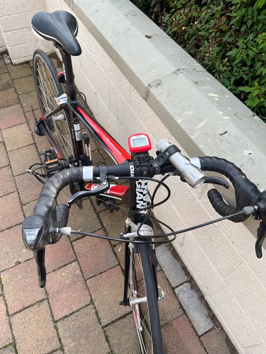 GIANT Avail Road Bike - Image 4
