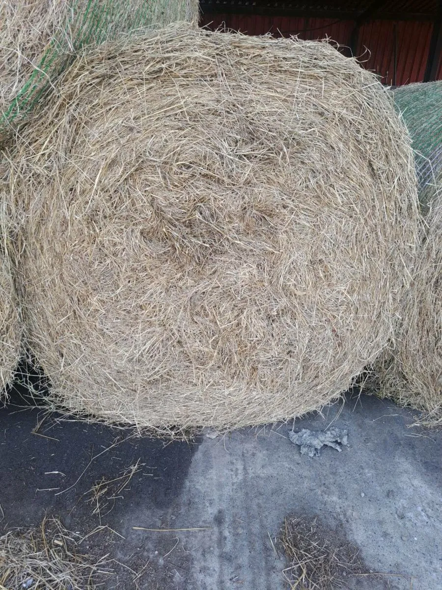 Hay and straw