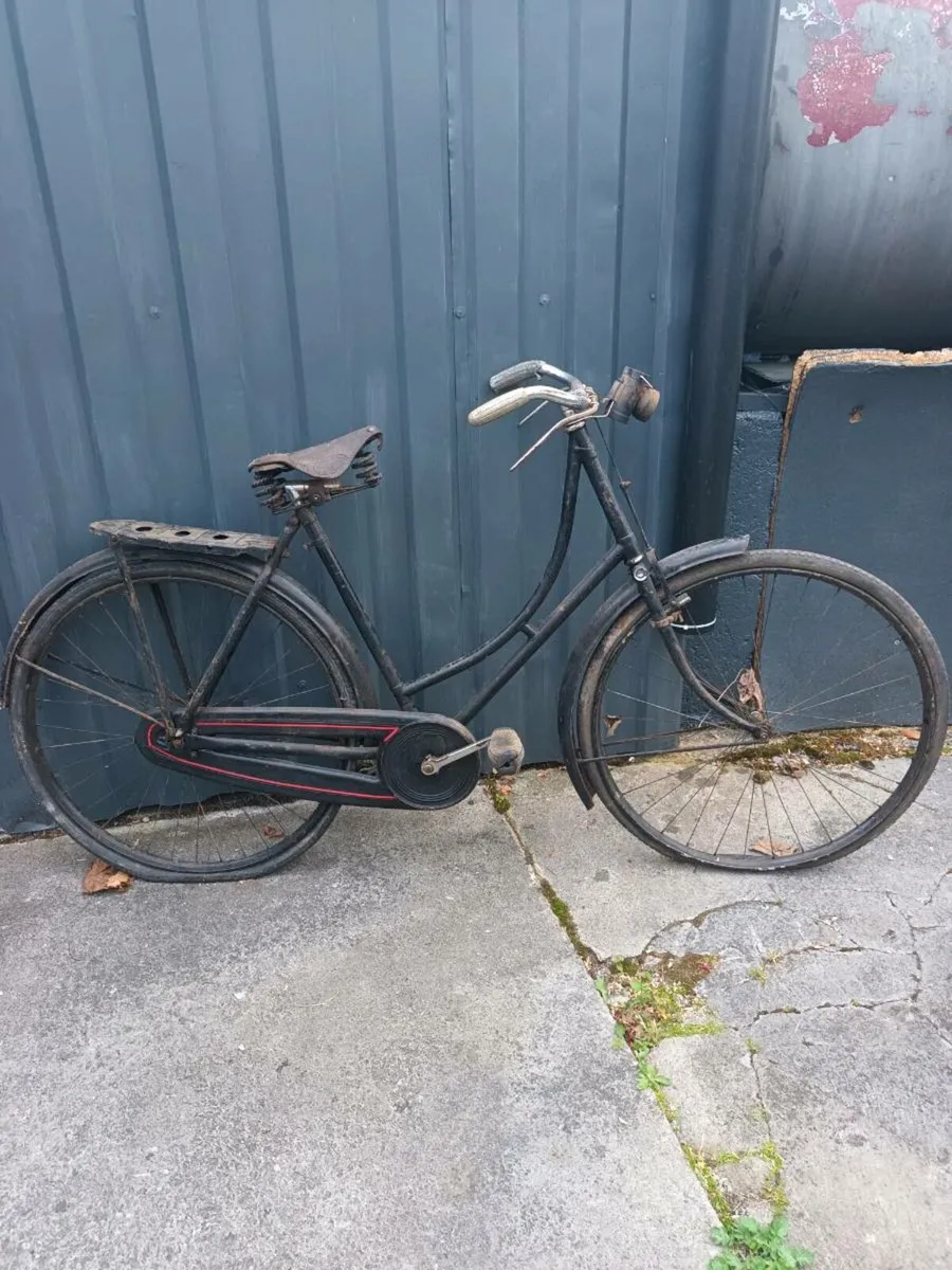 Raleigh High Nellie - Image 1