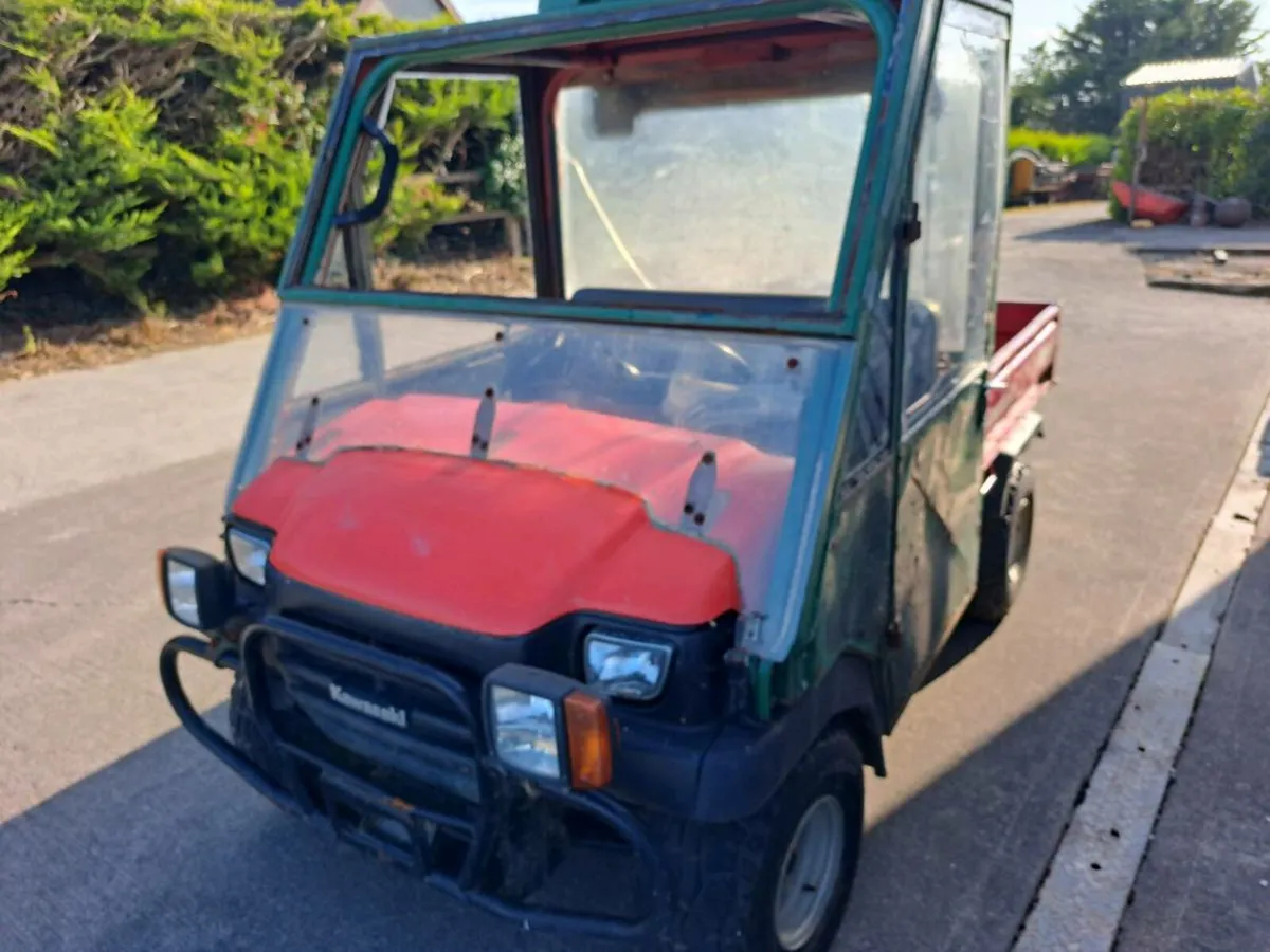 Gator for sale - Image 1