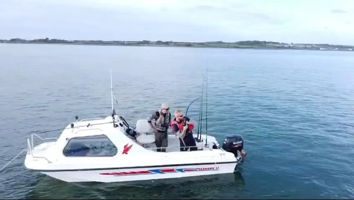 Seahawk 17 - Image 2