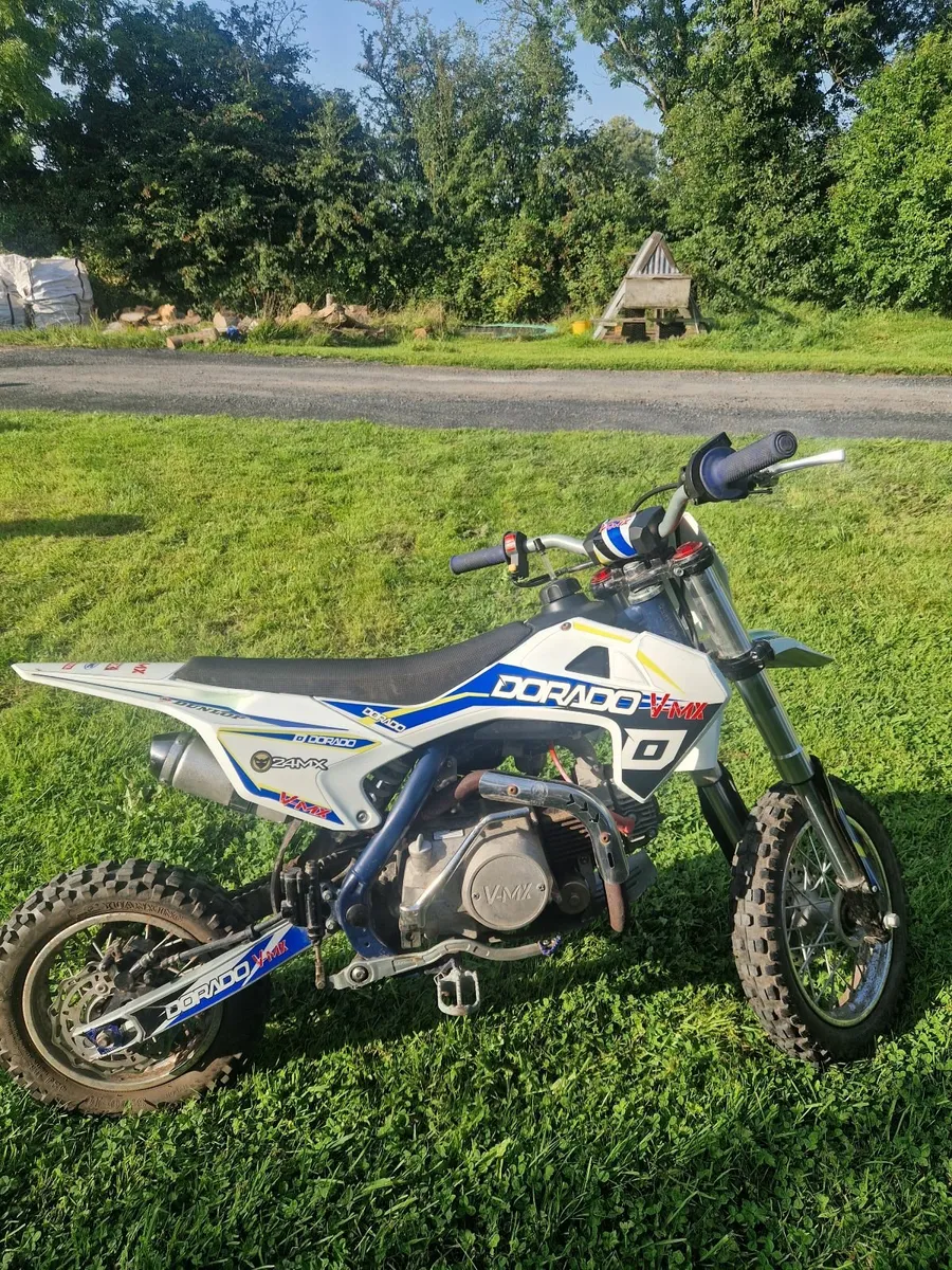 Dorado vmx 110 cc pit bike - Image 3