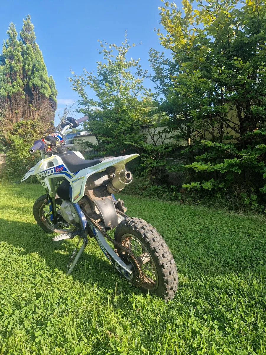 Dorado vmx 110 cc pit bike - Image 4