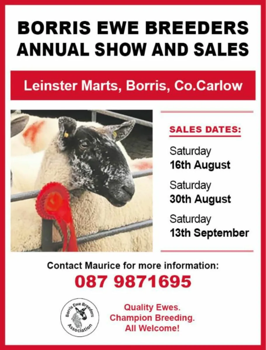 Borris Ewe Breeders Show and Sale - Image 1