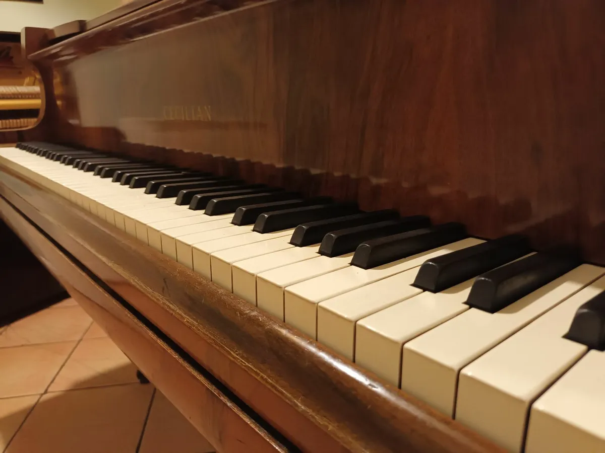 Cecilian Baby Grand | Burr Walnut - Image 3