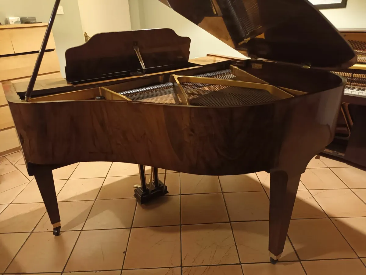 Cecilian Baby Grand | Burr Walnut - Image 4