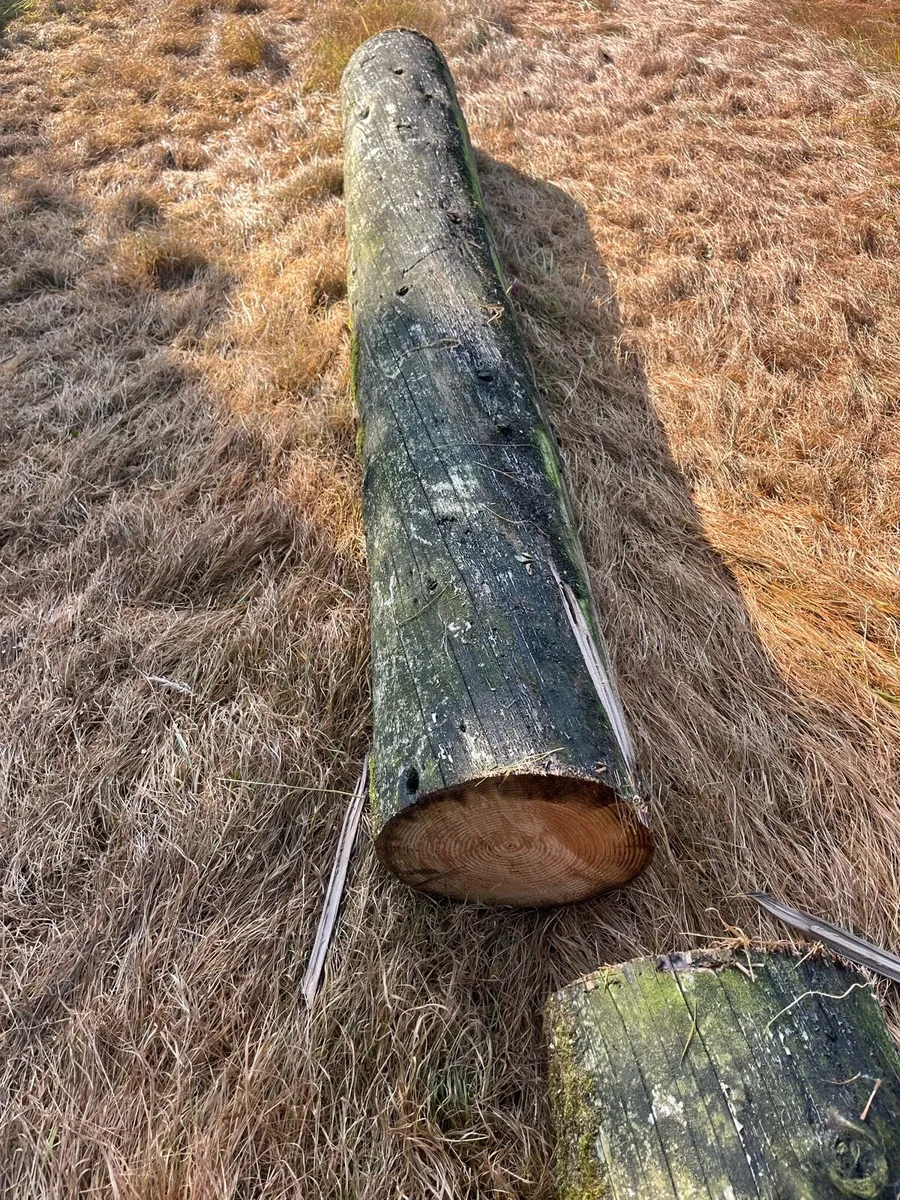 ESB poles - Image 4