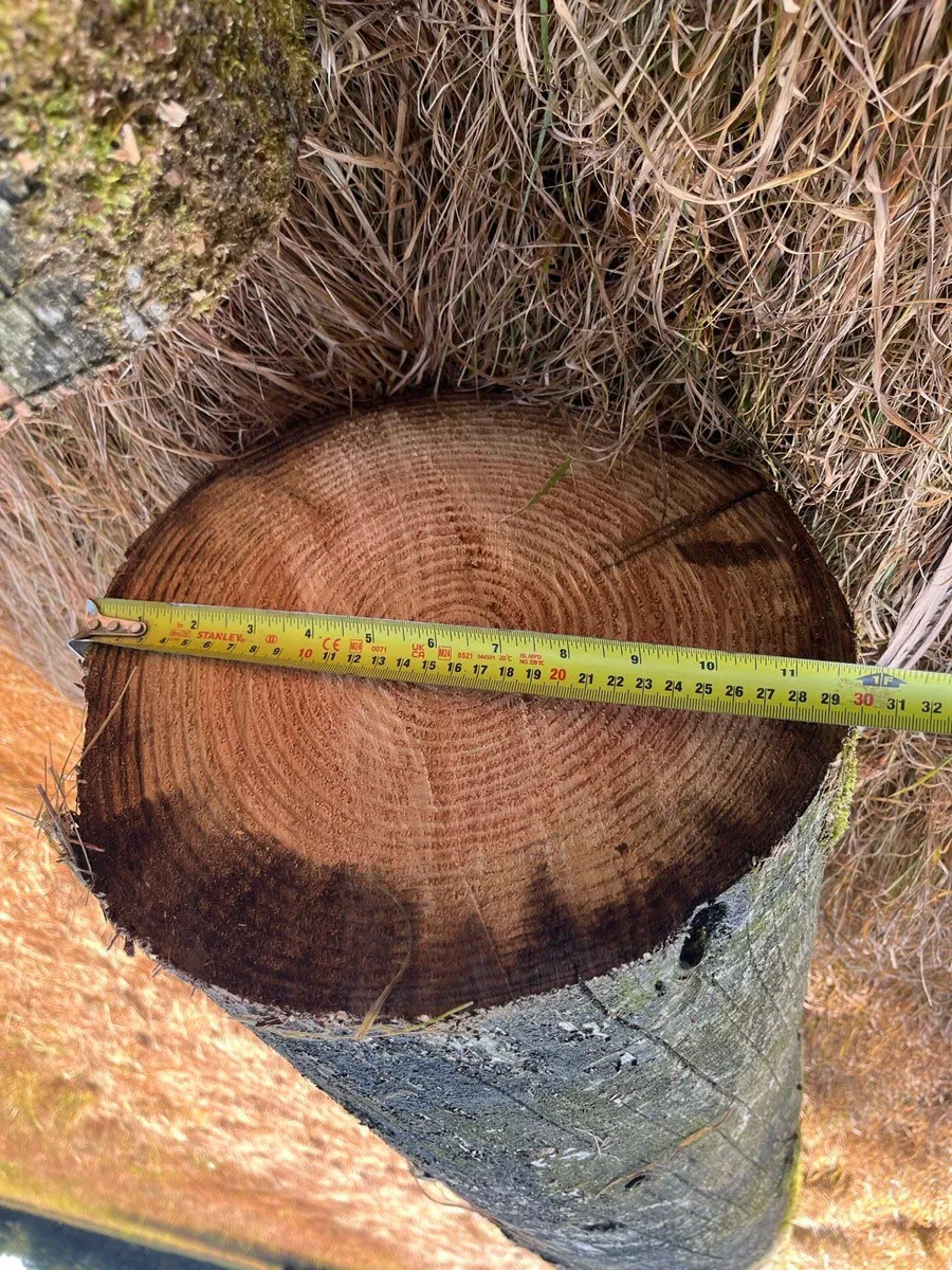 ESB poles - Image 1