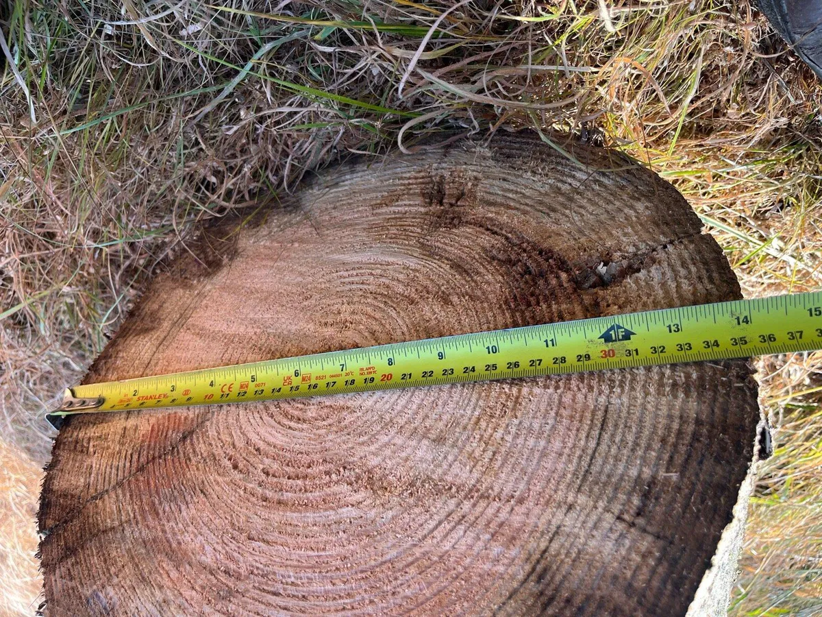 ESB poles - Image 2