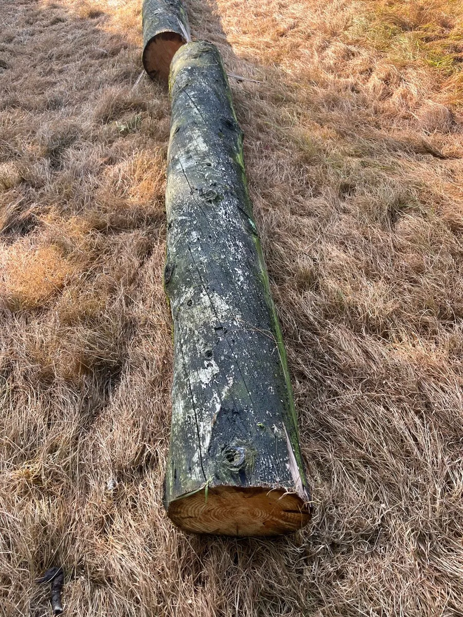 ESB poles - Image 3