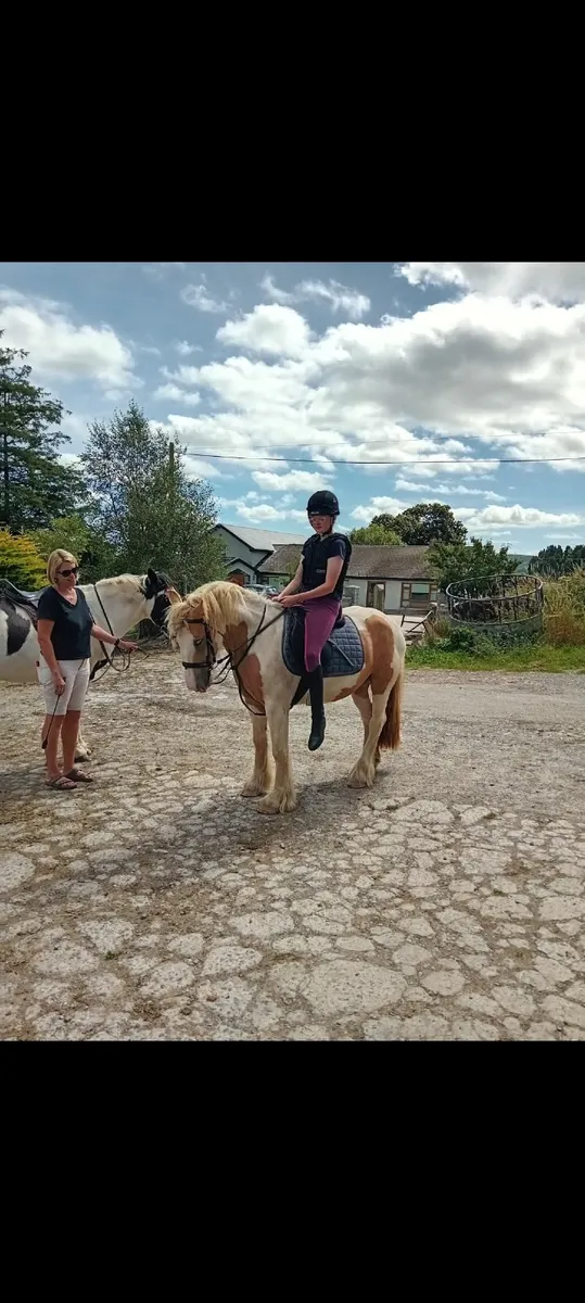 Horse - Image 2