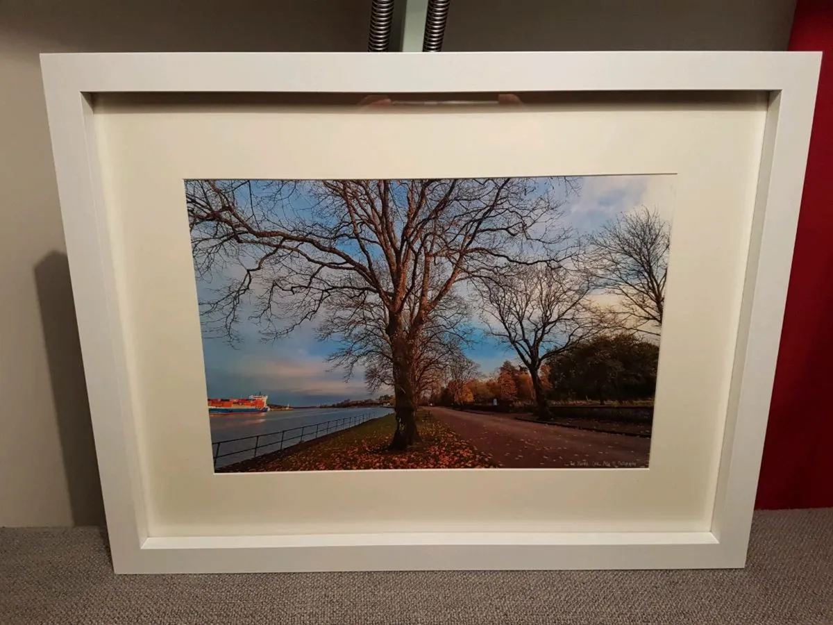 The Marina, Cork - Image 4