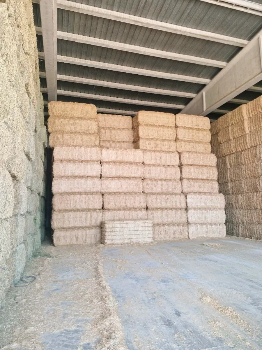 Chopped Spanish Straw - Image 1