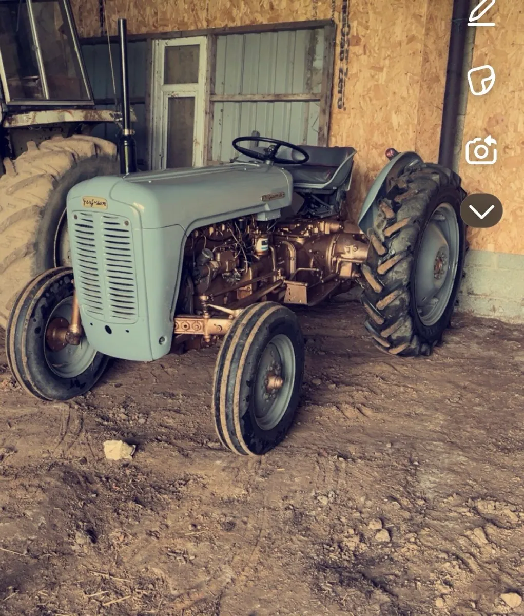 Ferguson fe-35 - Image 2