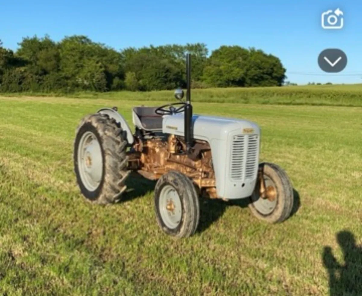 Ferguson fe-35 - Image 4