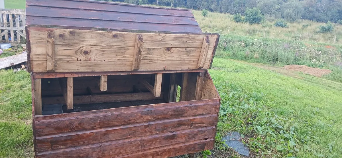 chicken coup - Image 2