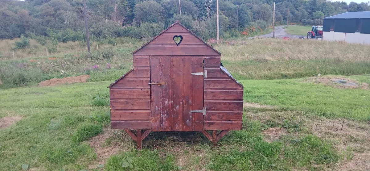 chicken coup - Image 3