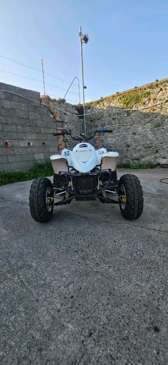 Quadzilla Pro Shark 100cc Race quad - Image 1