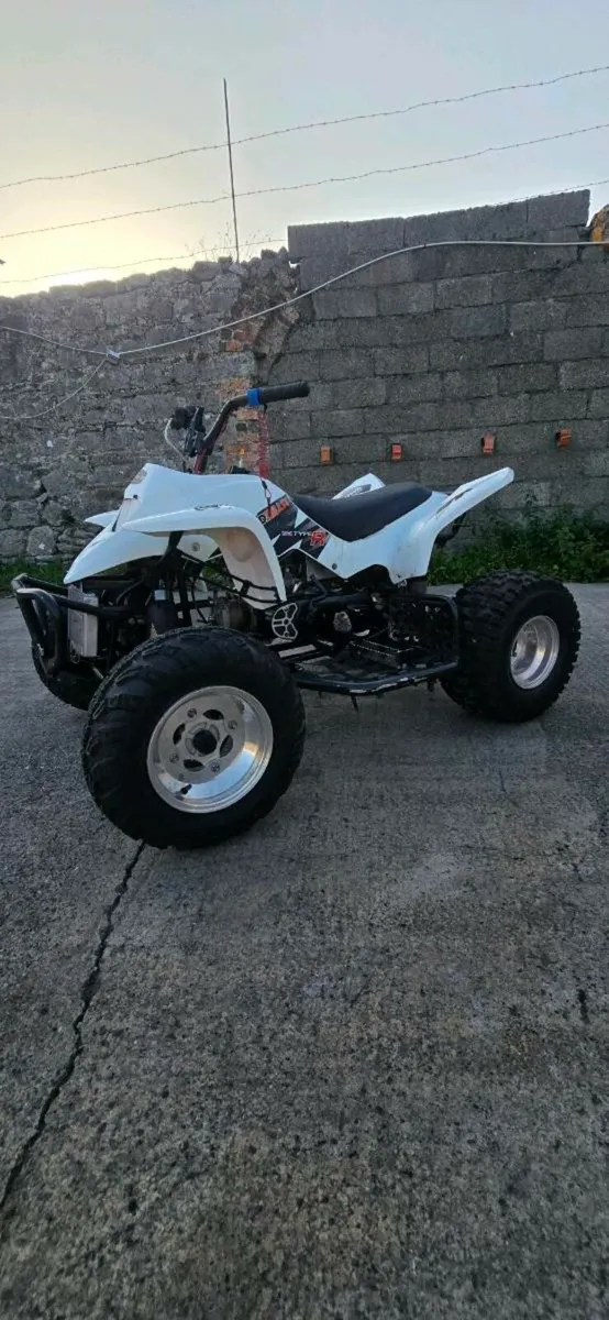 Quadzilla Pro Shark 100cc Race quad - Image 2