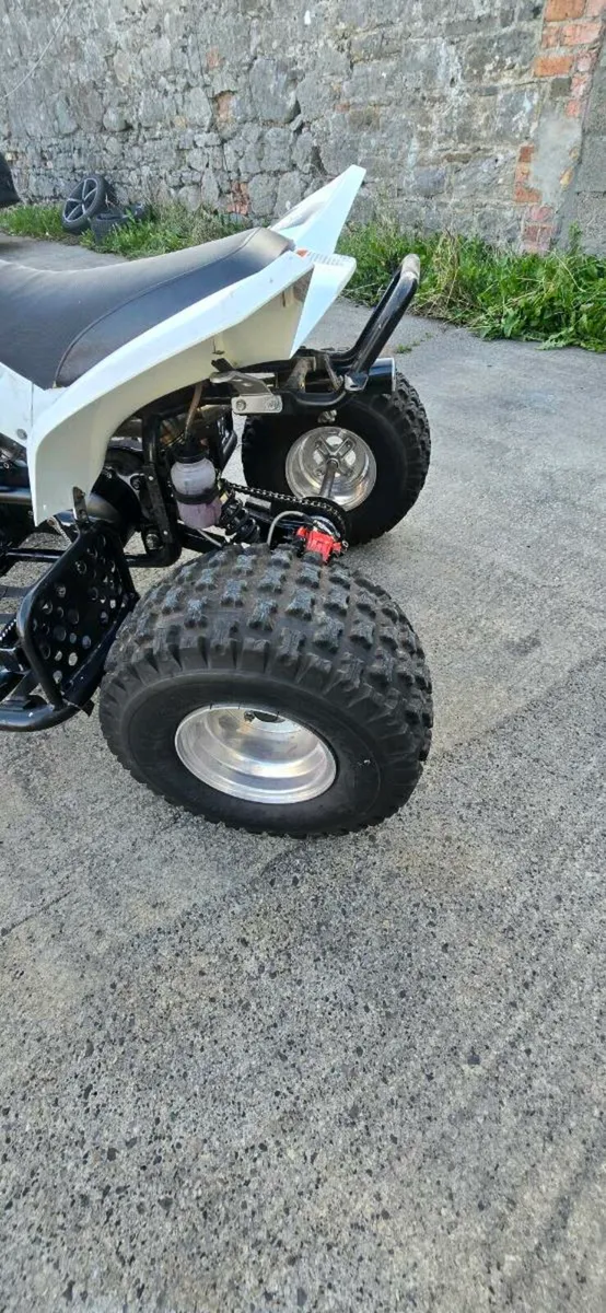 Quadzilla Pro Shark 100cc Race quad - Image 3