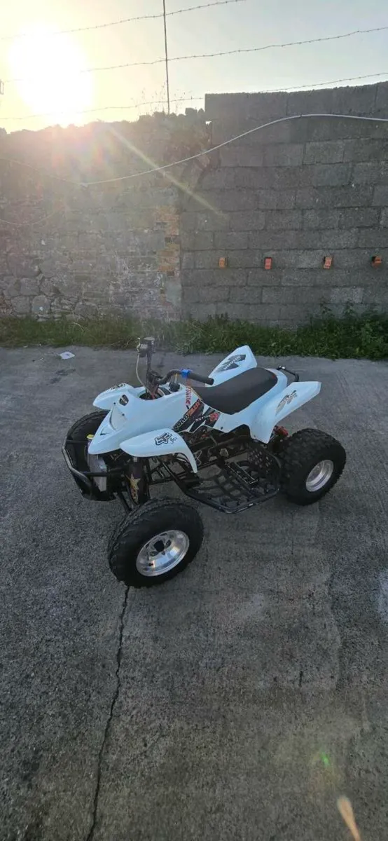 Quadzilla Pro Shark 100cc Race quad - Image 4