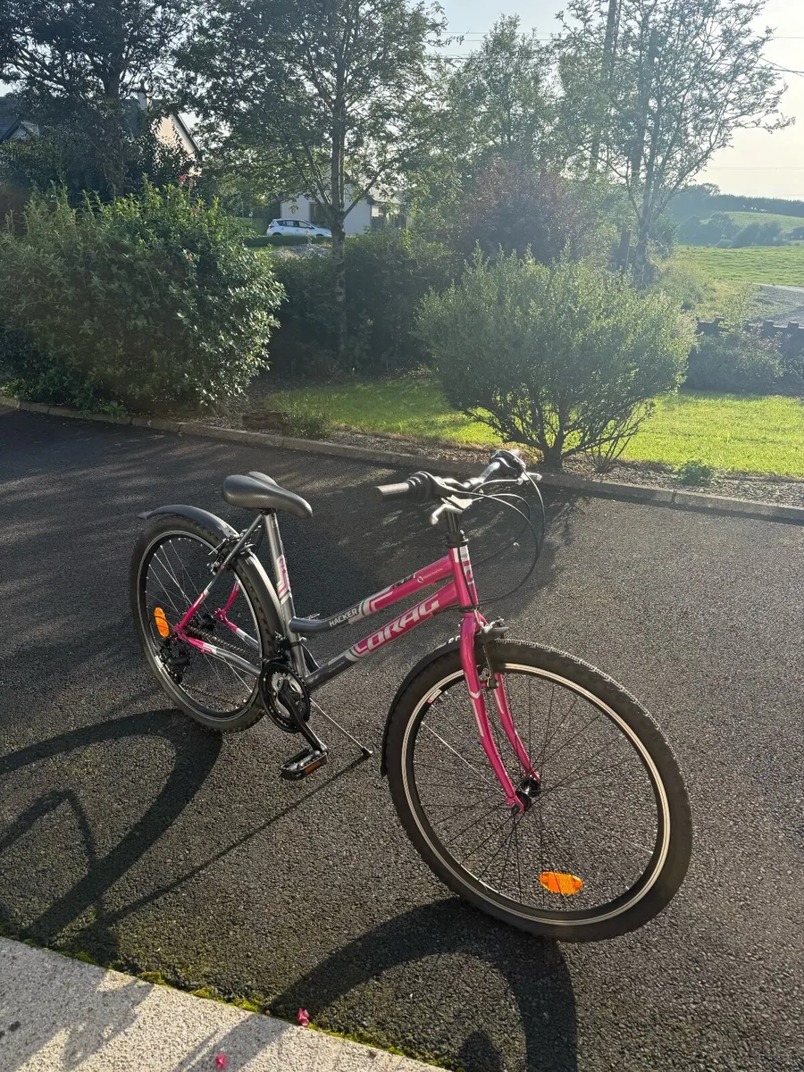 Brand New Bike - Image 1