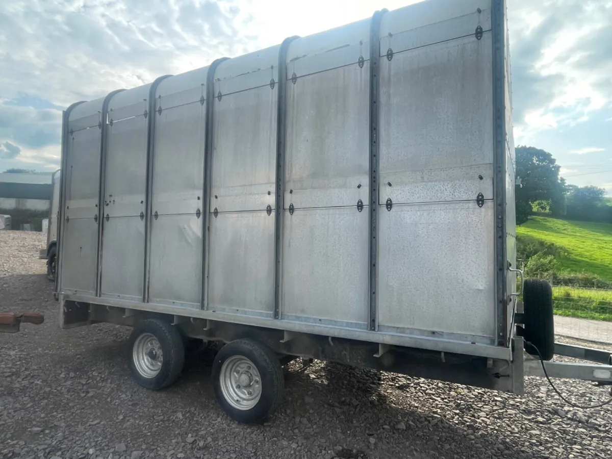 Ifor Williams 12ft x 6ft 6” demountable - Image 1
