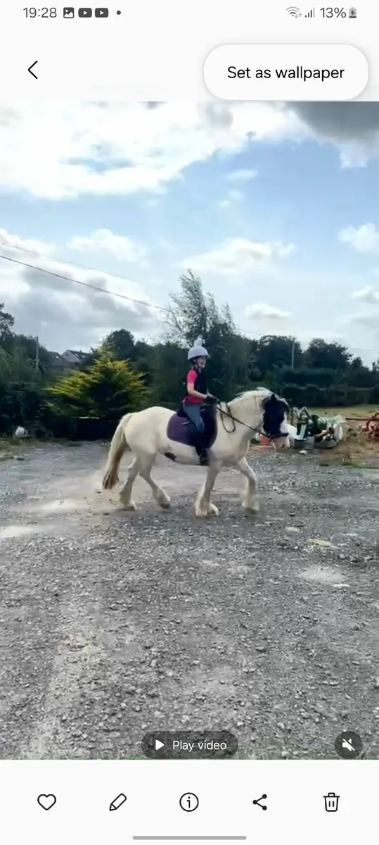 Horse - Image 4