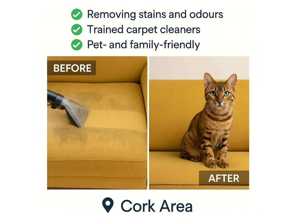 ✨ Mobile Sofa & Mattress Cleaning - Cork ✨ - Image 4