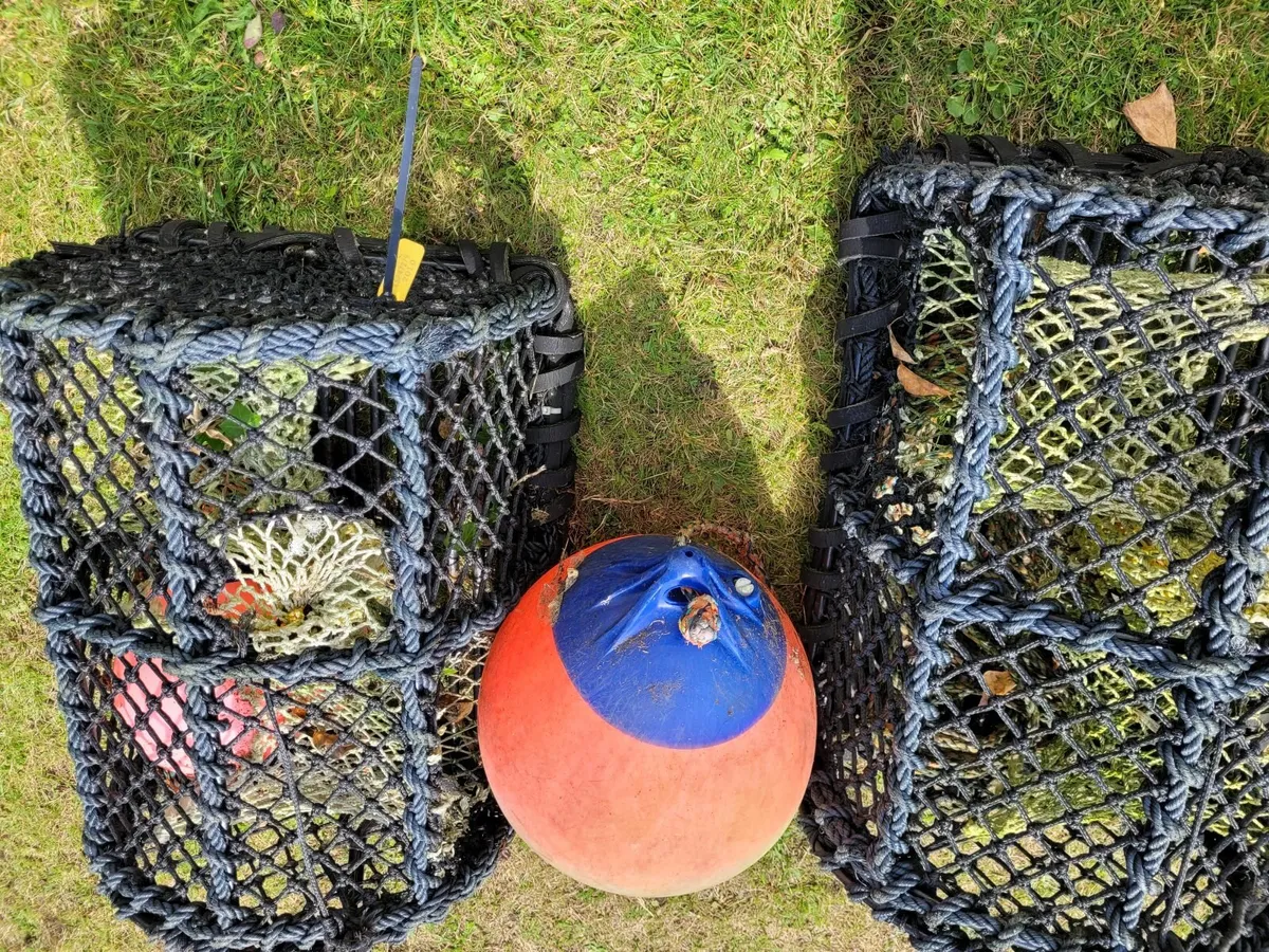 Lobster Pots - Image 3