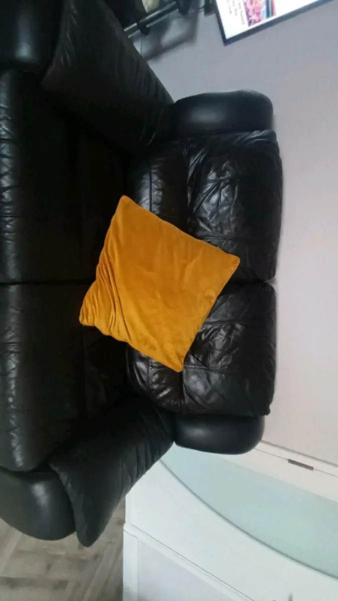 Leather Sofas - Image 1