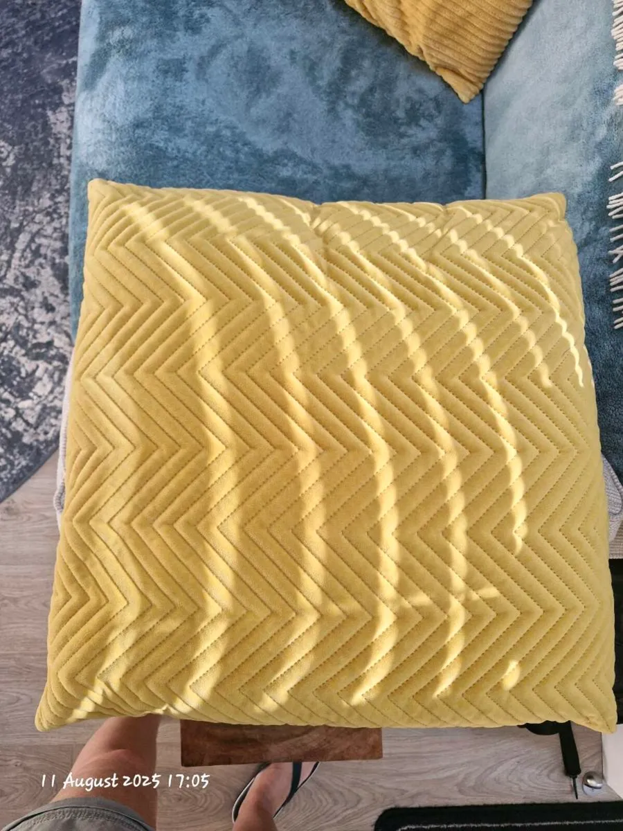 Sofa Cushions - Image 1