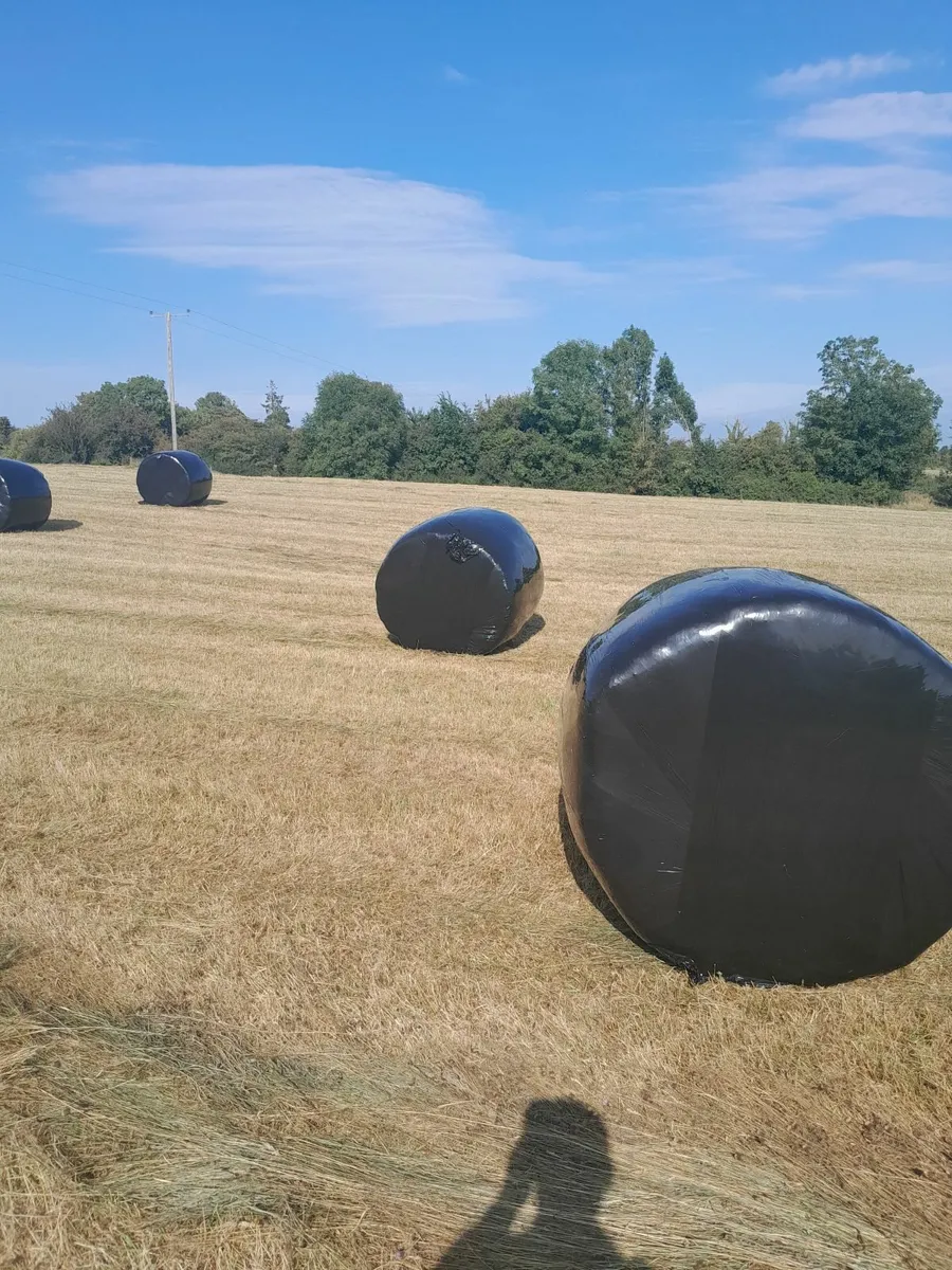 Silage - Image 1