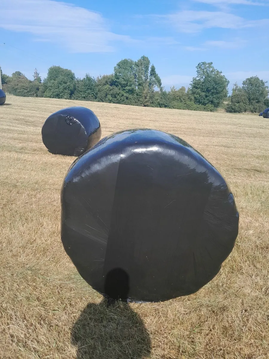 Silage - Image 2